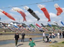 koinobori31.jpg