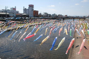 koinobori.jpg