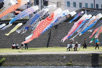 koinobori2.jpg