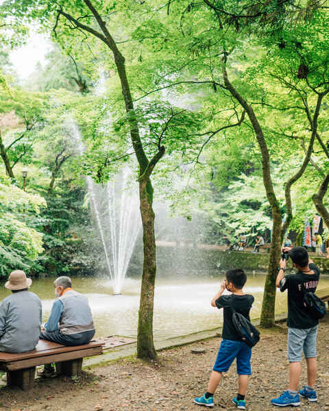 9-2新緑の加茂山公園 神池噴水.jpg