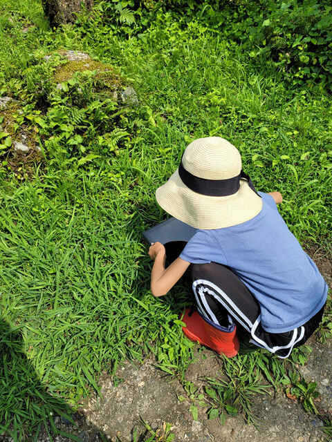 自然と戯れる子ども