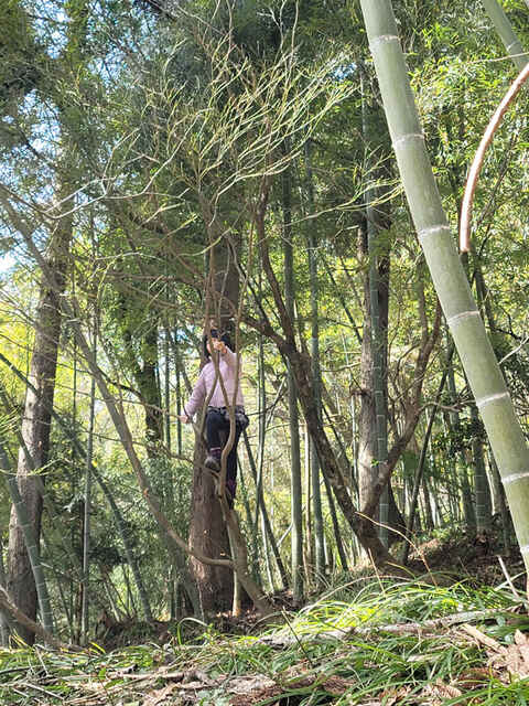 木登りを楽しむ子ども