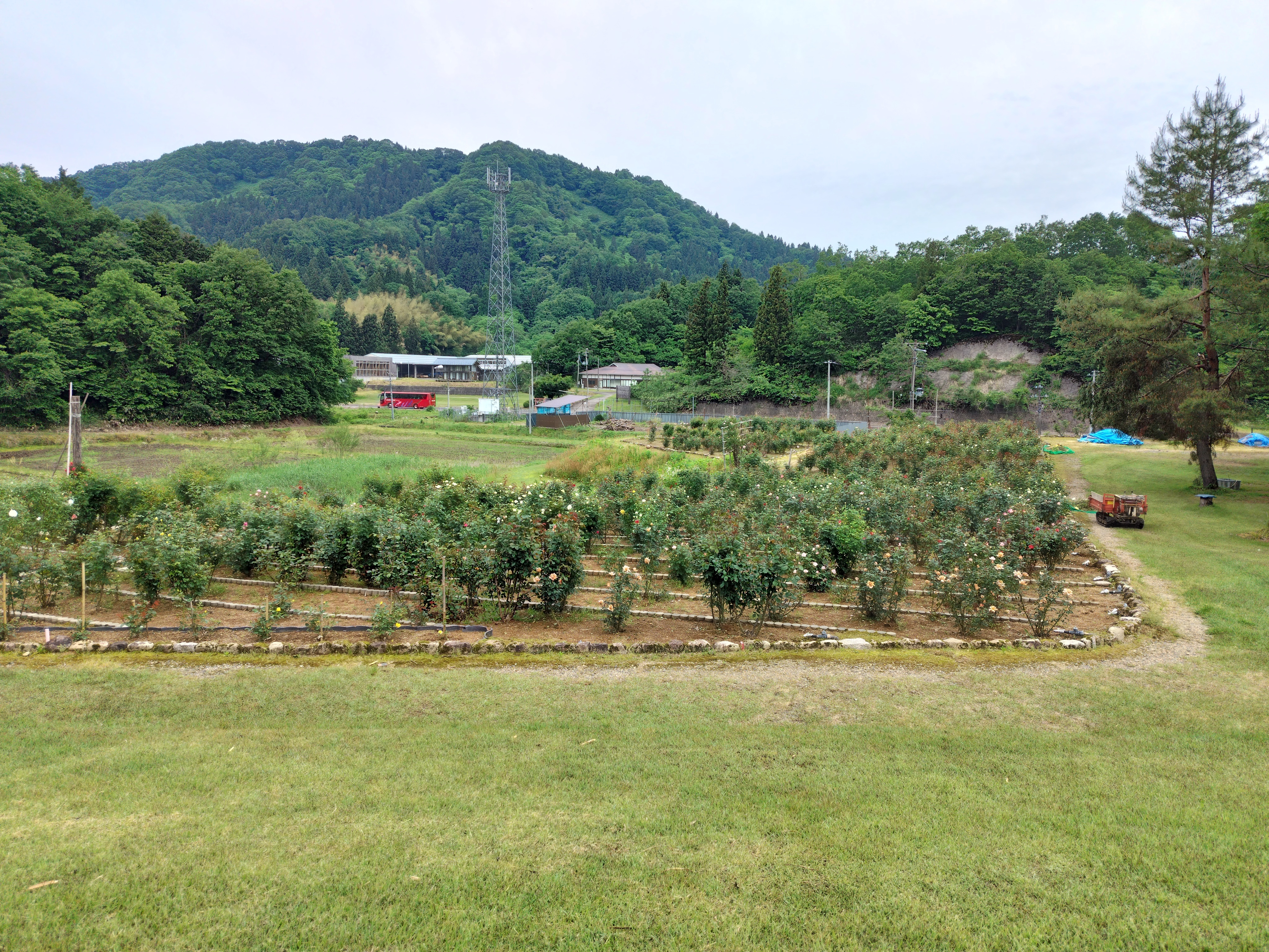 IMG_20230526_083314.jpg