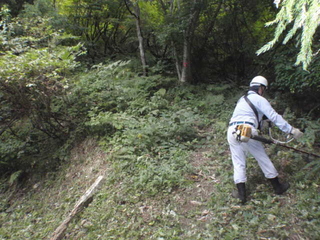 登山道整備.JPG