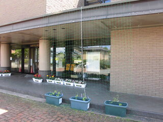 CIMG5843.JPG