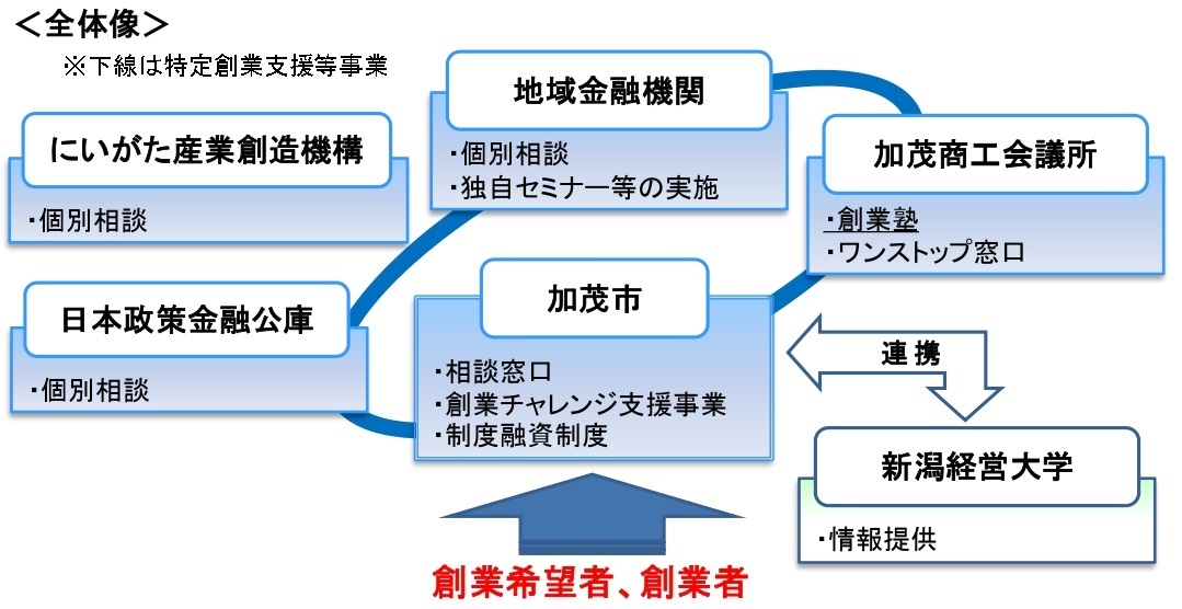 加茂市創業支援等事業計画概要〈全体像〉.jpg