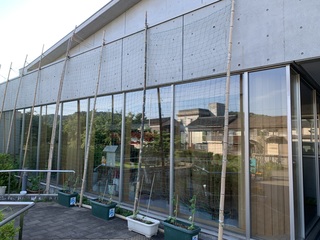 IMG_8047.JPG