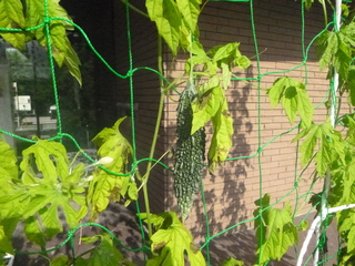 P1050230.JPG