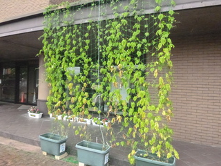 P1050246.JPG
