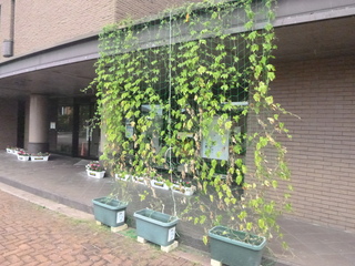 P1050281.JPG