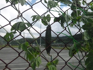 P1050290.JPG