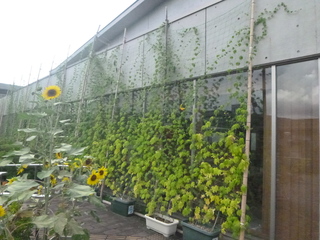 P1050284.JPG