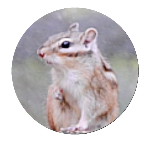 20241202_674d767450cb3e030d4bc157_6e6553a7.png