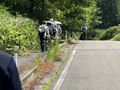 IMG_6943.JPG