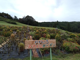 IMG_20240907_101026.jpg