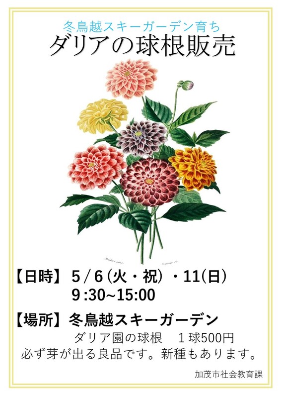 【修正版】ダリアポスター.jpg