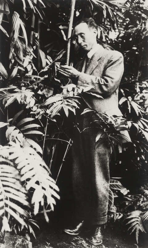 005.jpg