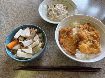 実際に作ったタレカツ丼、のっぺ、くるみ入り白和えの写真です。