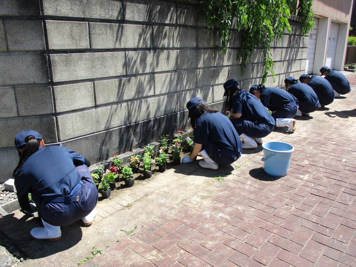 加茂農林花壇管理R8.6月②.JPG