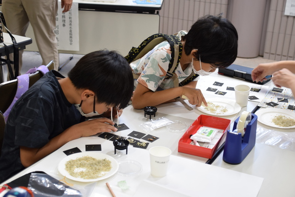 チリメンモンスターをさがそう(R7)の様子②.JPG