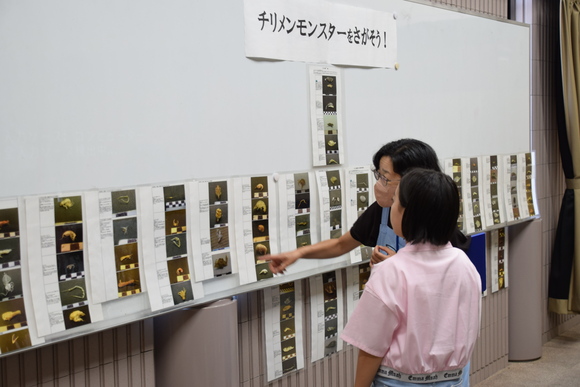 チリメンモンスターをさがそう(R7)の様子⑥.JPG
