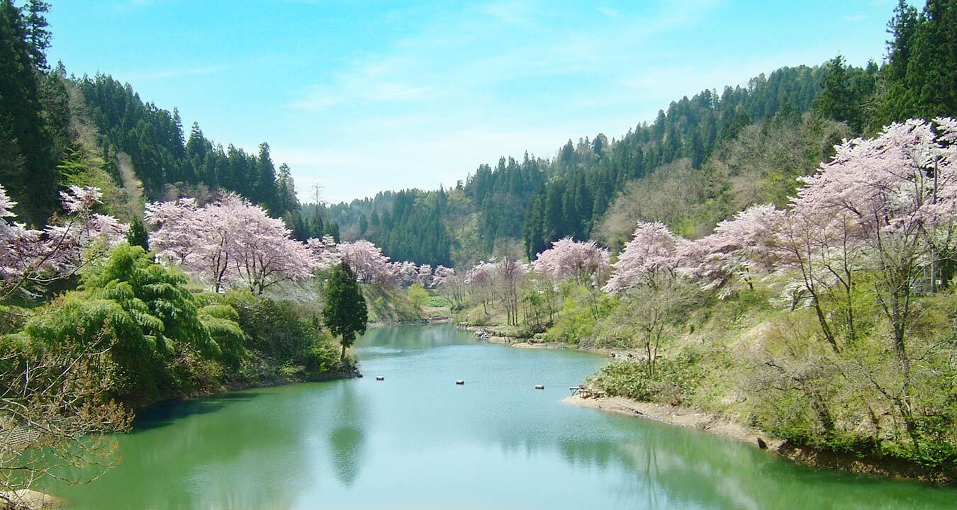 下条川ダムの写真