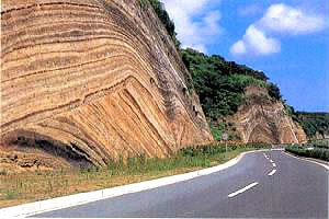 千波地層切断面の写真