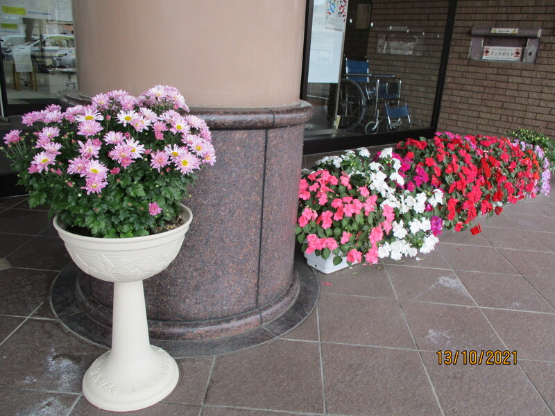正面玄関の花